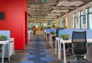 汕尾鲮鲫鱼罐头批发