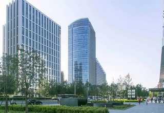 云南二月兰花种成活率