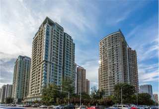 质量好的药物安全性评价中心